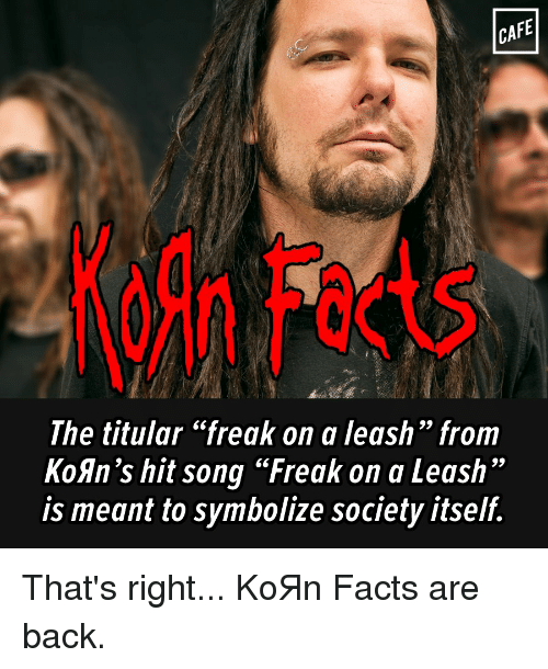 Korn freak on a leash video download